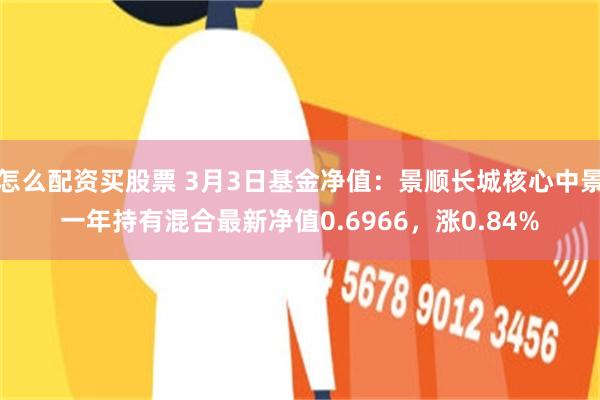怎么配资买股票 3月3日基金净值：景顺长城核心中景一年持有混合最新净值0.6966，涨0.84%