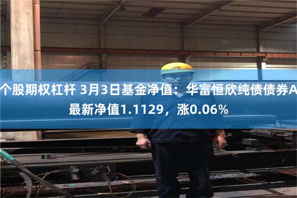 个股期权杠杆 3月3日基金净值：华富恒欣纯债债券A最新净值1.1129，涨0.06%