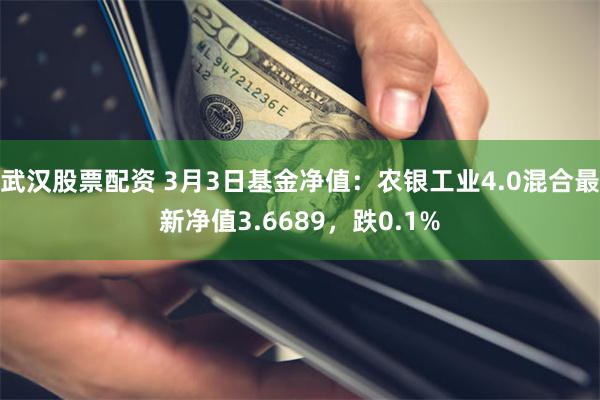 武汉股票配资 3月3日基金净值：农银工业4.0混合最新净值3.6689，跌0.1%