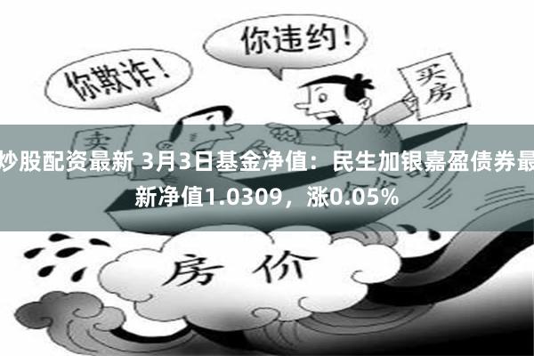 炒股配资最新 3月3日基金净值：民生加银嘉盈债券最新净值1.0309，涨0.05%