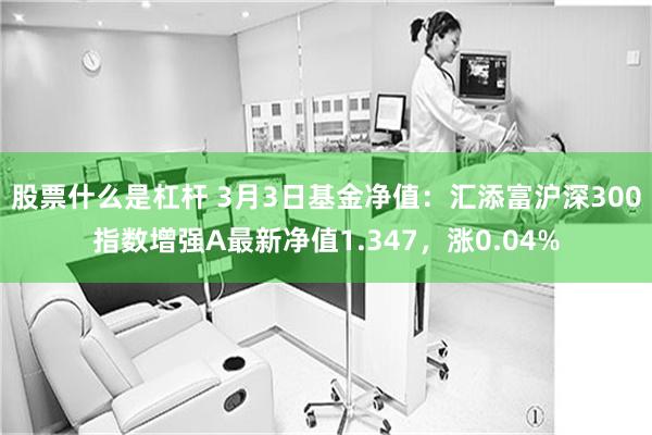 股票什么是杠杆 3月3日基金净值：汇添富沪深300指数增强A最新净值1.347，涨0.04%