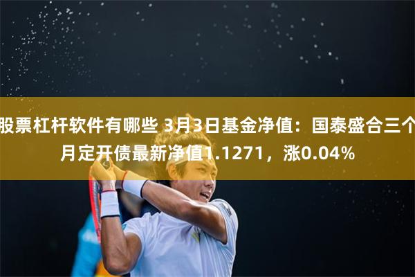 股票杠杆软件有哪些 3月3日基金净值：国泰盛合三个月定开债最新净值1.1271，涨0.04%