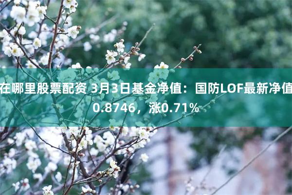 在哪里股票配资 3月3日基金净值：国防LOF最新净值0.8746，涨0.71%