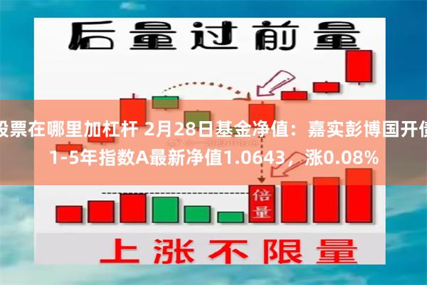 股票在哪里加杠杆 2月28日基金净值：嘉实彭博国开债1-5年指数A最新净值1.0643，涨0.08%