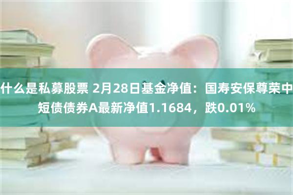 什么是私募股票 2月28日基金净值：国寿安保尊荣中短债债券A最新净值1.1684，跌0.01%