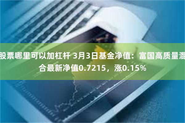 股票哪里可以加杠杆 3月3日基金净值：富国高质量混合最新净值0.7215，涨0.15%