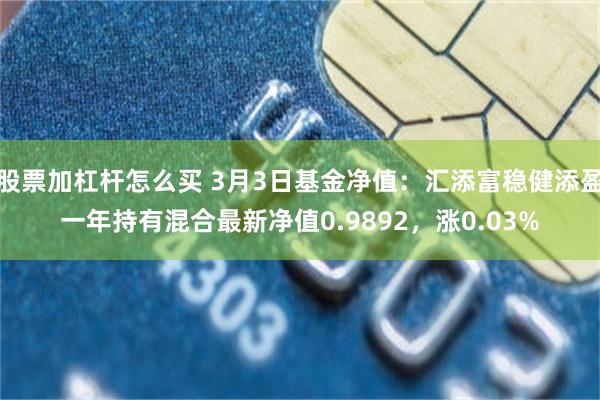 股票加杠杆怎么买 3月3日基金净值：汇添富稳健添盈一年持有混合最新净值0.9892，涨0.03%