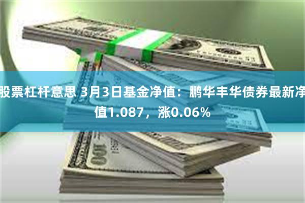 股票杠杆意思 3月3日基金净值：鹏华丰华债券最新净值1.087，涨0.06%