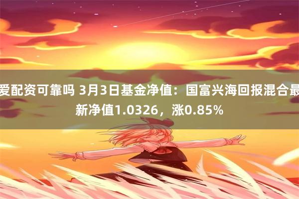 爱配资可靠吗 3月3日基金净值：国富兴海回报混合最新净值1.0326，涨0.85%