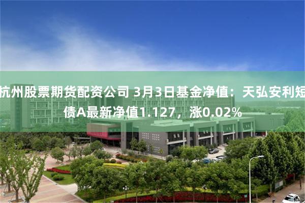 杭州股票期货配资公司 3月3日基金净值：天弘安利短债A最新净值1.127，涨0.02%