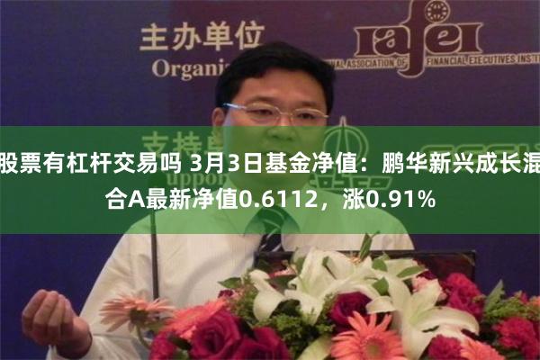 股票有杠杆交易吗 3月3日基金净值：鹏华新兴成长混合A最新净值0.6112，涨0.91%