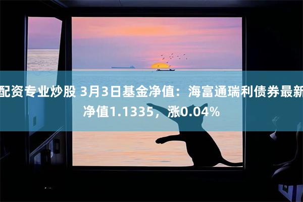 配资专业炒股 3月3日基金净值：海富通瑞利债券最新净值1.1335，涨0.04%