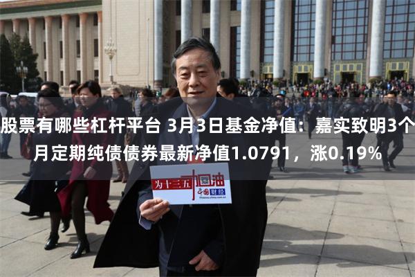 股票有哪些杠杆平台 3月3日基金净值：嘉实致明3个月定期纯债债券最新净值1.0791，涨0.19%