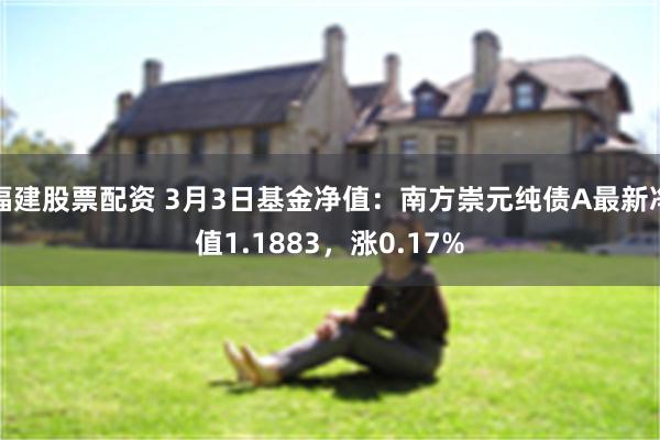 福建股票配资 3月3日基金净值：南方崇元纯债A最新净值1.1883，涨0.17%