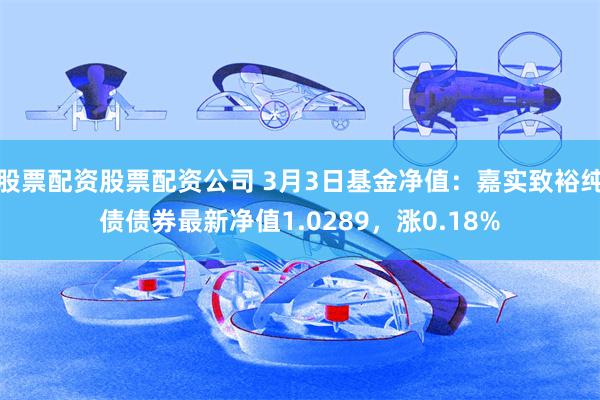 股票配资股票配资公司 3月3日基金净值：嘉实致裕纯债债券最新净值1.0289，涨0.18%