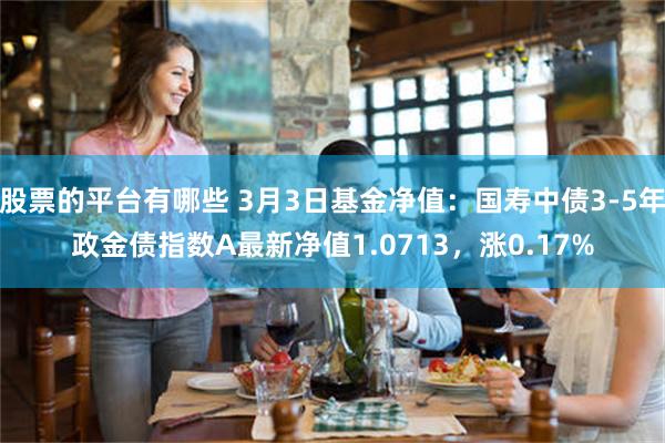 股票的平台有哪些 3月3日基金净值：国寿中债3-5年政金债指数A最新净值1.0713，涨0.17%