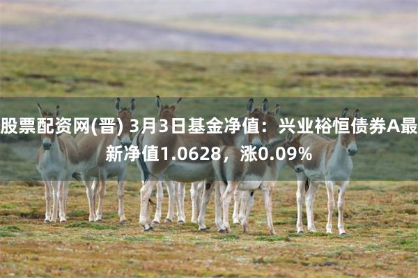 股票配资网(晋) 3月3日基金净值：兴业裕恒债券A最新净值1.0628，涨0.09%