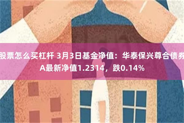 股票怎么买杠杆 3月3日基金净值：华泰保兴尊合债券A最新净值1.2314，跌0.14%