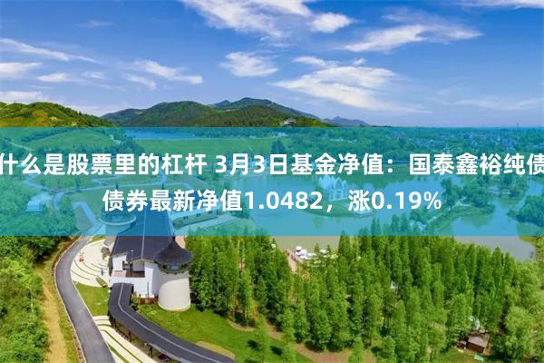 什么是股票里的杠杆 3月3日基金净值：国泰鑫裕纯债债券最新净值1.0482，涨0.19%