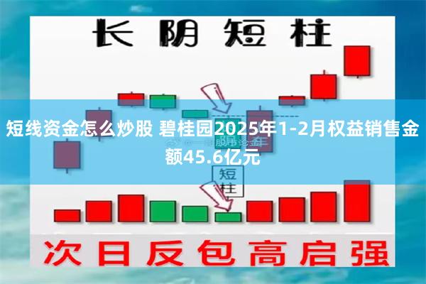 短线资金怎么炒股 碧桂园2025年1-2月权益销售金额45.6亿元