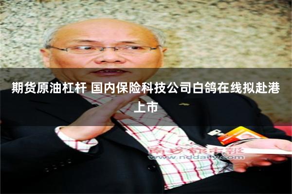 期货原油杠杆 国内保险科技公司白鸽在线拟赴港上市