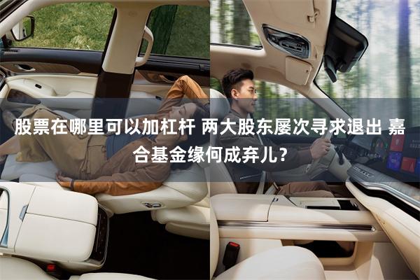 股票在哪里可以加杠杆 两大股东屡次寻求退出 嘉合基金缘何成弃儿？