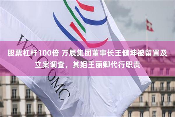 股票杠杆100倍 万辰集团董事长王健坤被留置及立案调查，其姐王丽卿代行职责