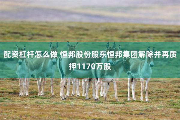 配资杠杆怎么做 恒邦股份股东恒邦集团解除并再质押1170万股