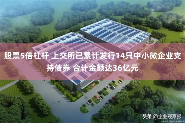 股票5倍杠杆 上交所已累计发行14只中小微企业支持债券 合计金额达36亿元