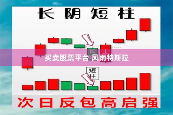 买卖股票平台 风雨特斯拉