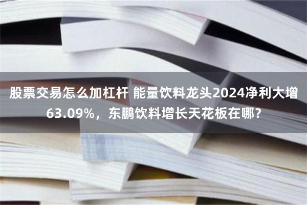 股票交易怎么加杠杆 能量饮料龙头2024净利大增63.09%，东鹏饮料增长天花板在哪？