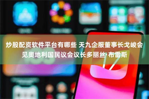 炒股配资软件平台有哪些 天九企服董事长戈峻会见奥地利国民议会议长多丽丝·布雷斯