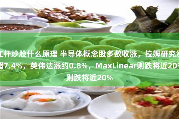 杠杆炒股什么原理 半导体概念股多数收涨，拉姆研究涨超7.4%，英伟达涨约0.8%，MaxLinear则跌将近20%