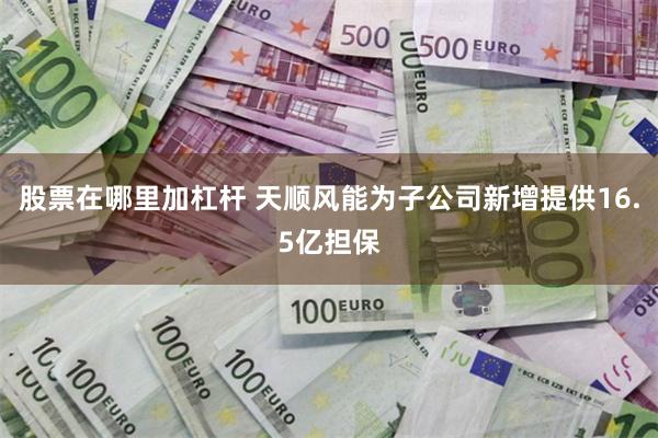 股票在哪里加杠杆 天顺风能为子公司新增提供16.5亿担保