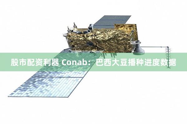 股市配资利器 Conab：巴西大豆播种进度数据