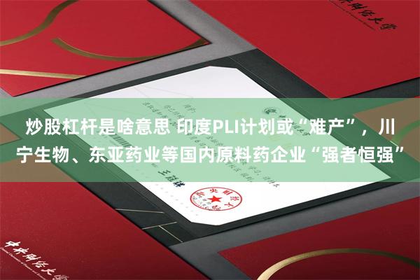 炒股杠杆是啥意思 印度PLI计划或“难产”，川宁生物、东亚药业等国内原料药企业“强者恒强”
