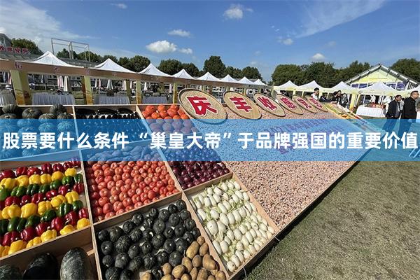 股票要什么条件 “巢皇大帝”于品牌强国的重要价值
