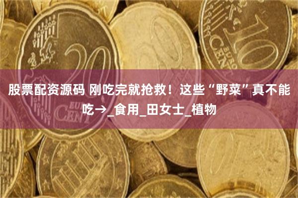 股票配资源码 刚吃完就抢救！这些“野菜”真不能吃→_食用_田女士_植物