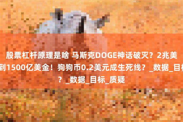 股票杠杆原理是啥 马斯克DOGE神话破灭？2兆美金缩水到1500亿美金！狗狗币0.2美元成生死线？_数据_目标_质疑