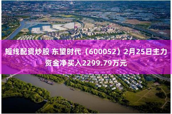 短线配资炒股 东望时代（600052）2月25日主力资金净买入2299.79万元