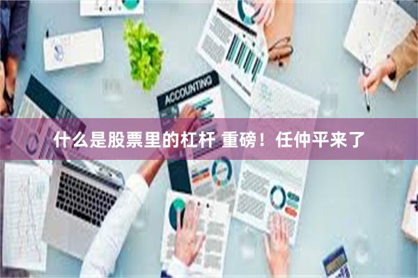 什么是股票里的杠杆 重磅！任仲平来了