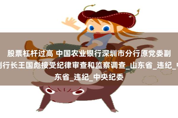 股票杠杆过高 中国农业银行深圳市分行原党委副书记、副行长王国彪接受纪律审查和监察调查_山东省_违纪_中央纪委