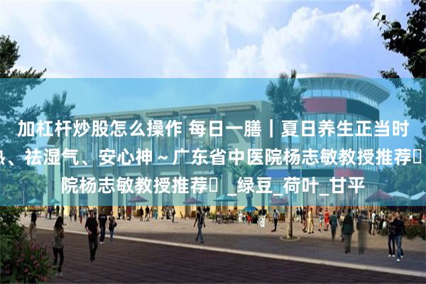 加杠杆炒股怎么操作 每日一膳｜夏日养生正当时，这一碗，清暑热、祛湿气、安心神～广东省中医院杨志敏教授推荐​_绿豆_荷叶_甘平
