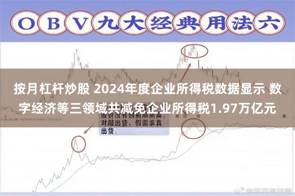 按月杠杆炒股 2024年度企业所得税数据显示 数字经济等三领域共减免企业所得税1.97万亿元