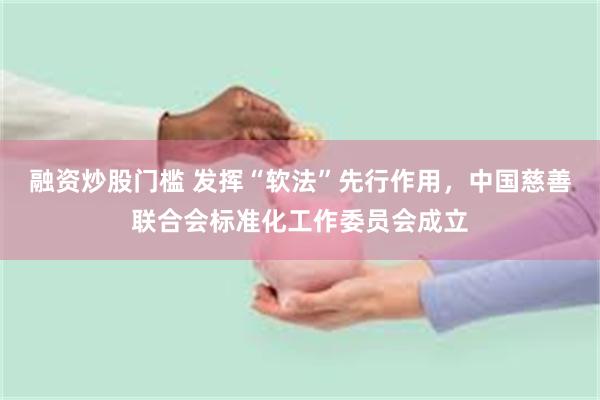 融资炒股门槛 发挥“软法”先行作用，中国慈善联合会标准化工作委员会成立