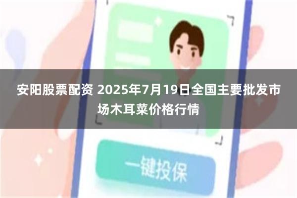 安阳股票配资 2025年7月19日全国主要批发市场木耳菜价格行情