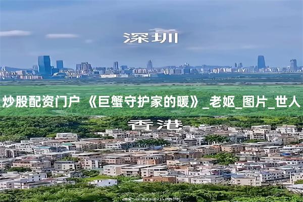 炒股配资门户 《巨蟹守护家的暖》_老妪_图片_世人