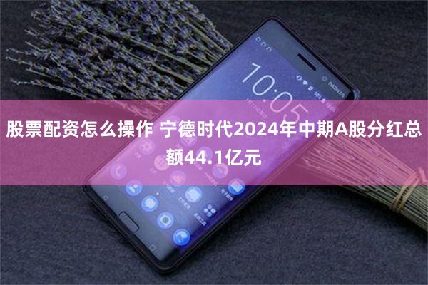 股票配资怎么操作 宁德时代2024年中期A股分红总额44.1亿元