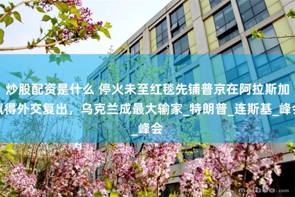 炒股配资是什么 停火未至红毯先铺普京在阿拉斯加赢得外交复出，乌克兰成最大输家_特朗普_连斯基_峰会