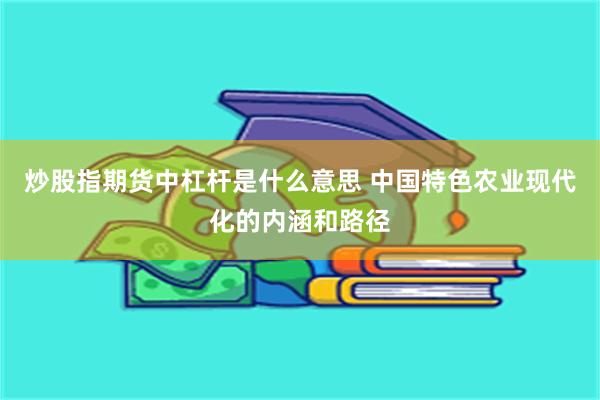 炒股指期货中杠杆是什么意思 中国特色农业现代化的内涵和路径